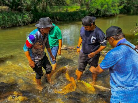 Pakej Kota Kinabalu Kundasang Manazel Mashaer Travel