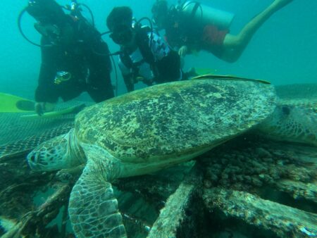 Pakej Semporna Pulau Mabul Manazel Mashaer Travel