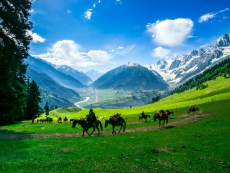 Pakej Kashmir Golden Triangle