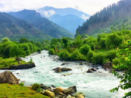 Pakej Kashmir Golden Triangle