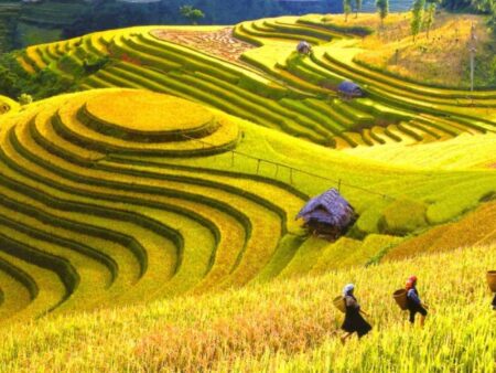 Pakej Hanoi Halong Bay Sapa