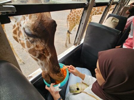 Pakej Bangkok Kanchanaburi Manazel Mashaer Travel