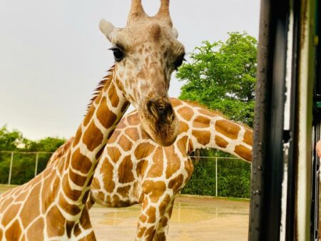 Pakej Bangkok Kanchanaburi Manazel Mashaer Travel